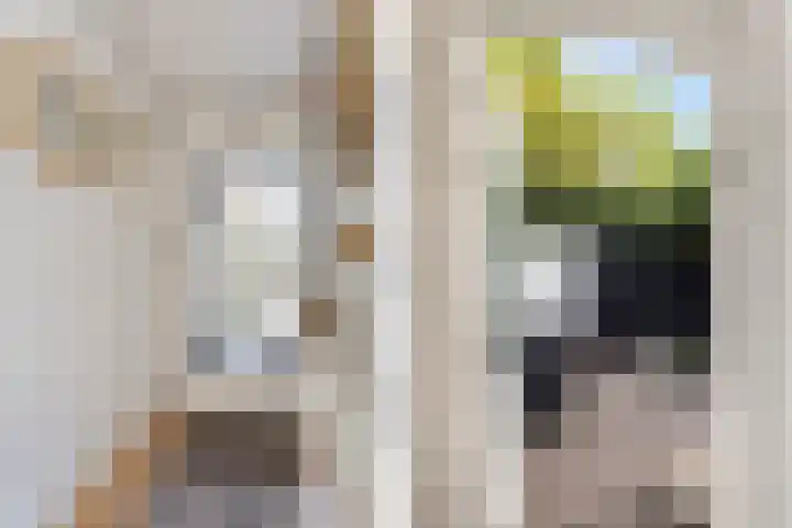 Ziekenhuisstraat 36 Hengelo thumbnail 24