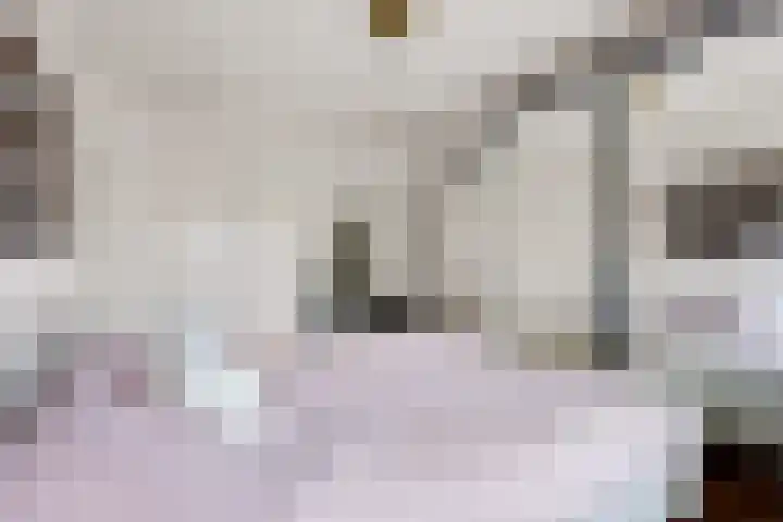 Ziekenhuisstraat 36 Hengelo thumbnail 30