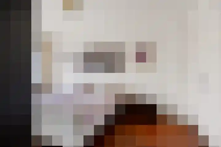 Ziekenhuisstraat 36 Hengelo thumbnail 31
