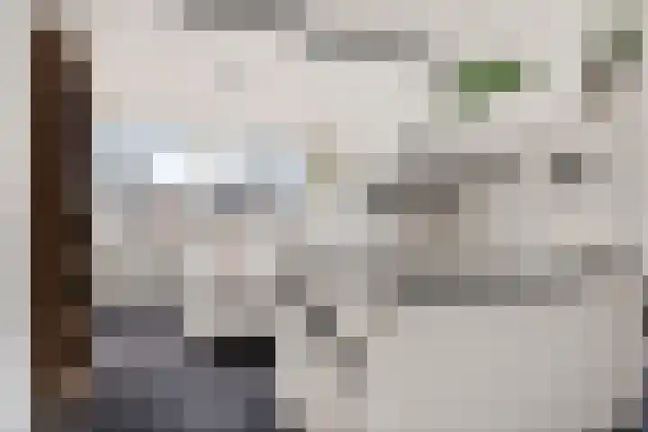 Ziekenhuisstraat 36 Hengelo thumbnail 37