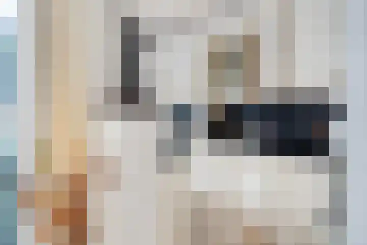 Ziekenhuisstraat 36 Hengelo thumbnail 4