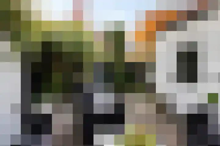 Ziekenhuisstraat 36 Hengelo thumbnail 42