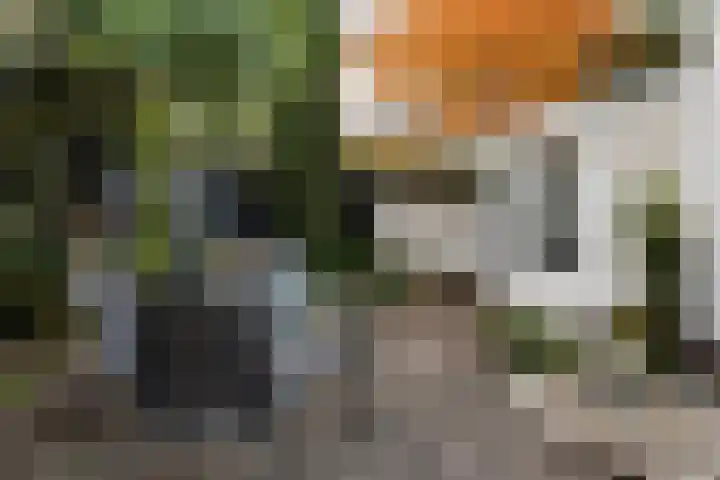 Ziekenhuisstraat 36 Hengelo thumbnail 43