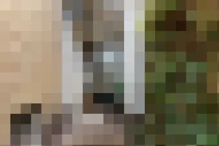 Ziekenhuisstraat 36 Hengelo thumbnail 8