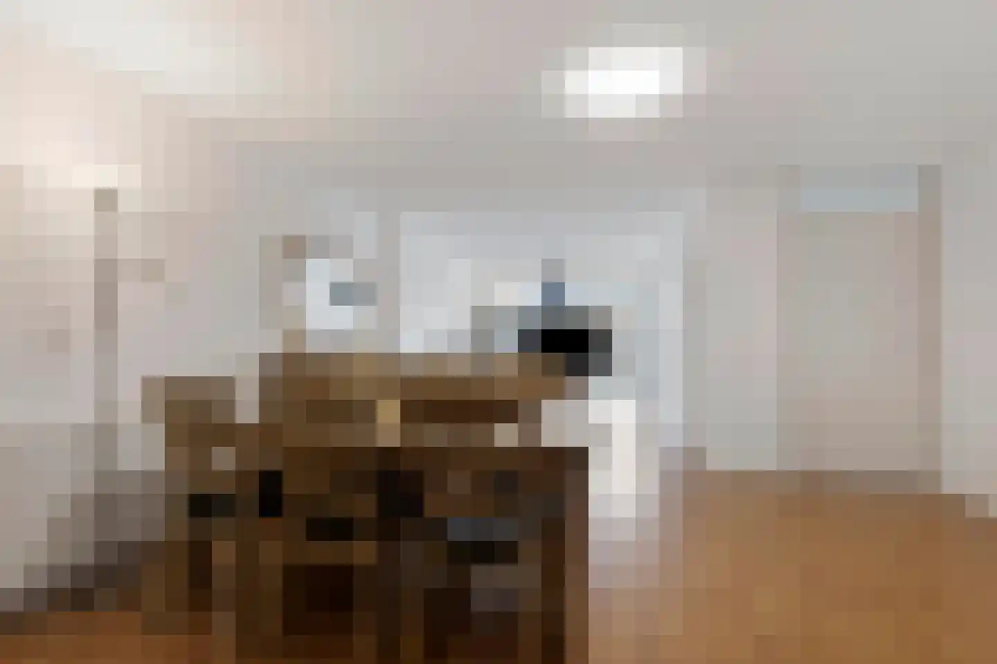 Ziekerstraat 10 B Nijmegen thumbnail 14