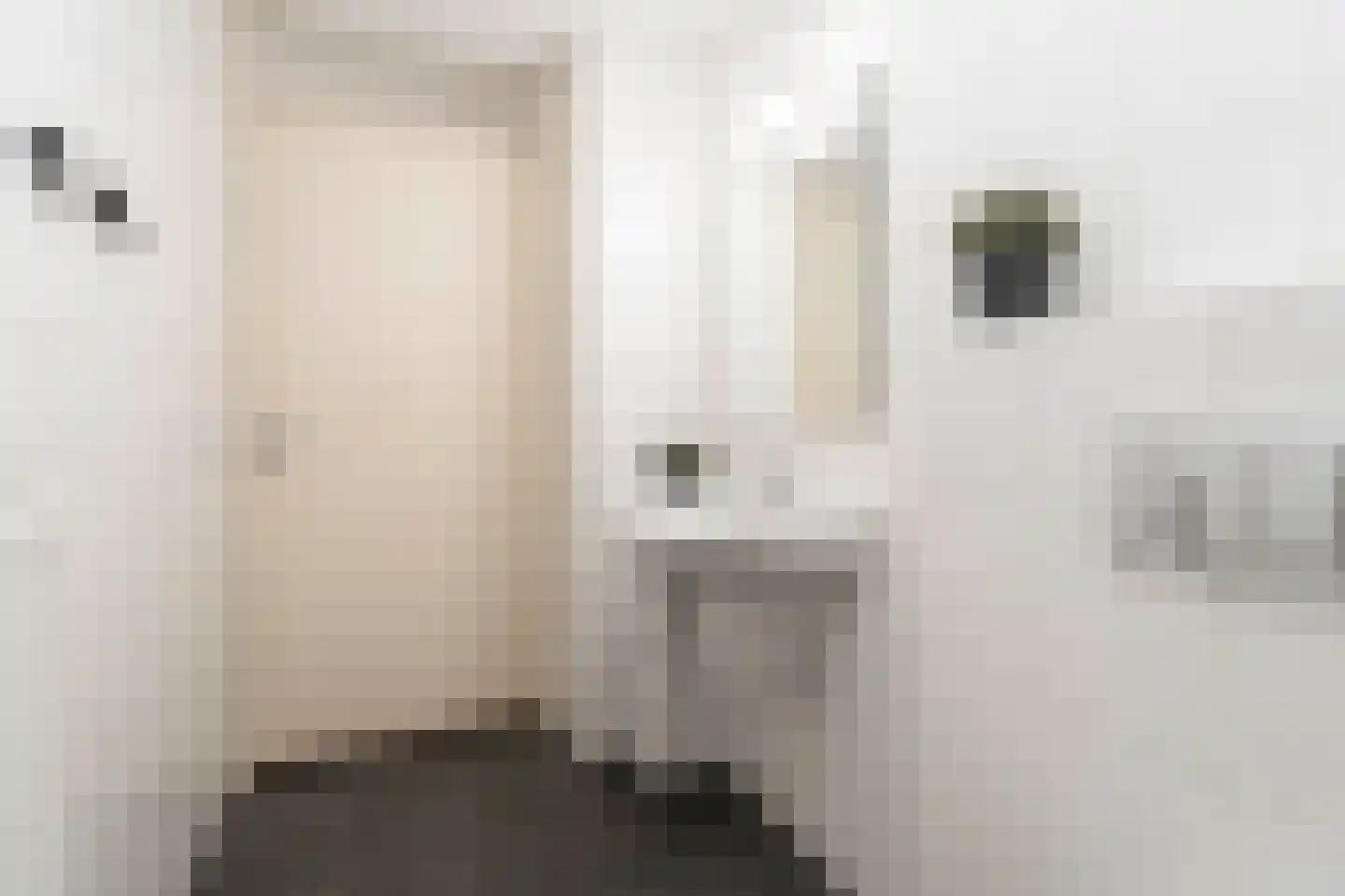 Ziekerstraat 10 B Nijmegen thumbnail 20
