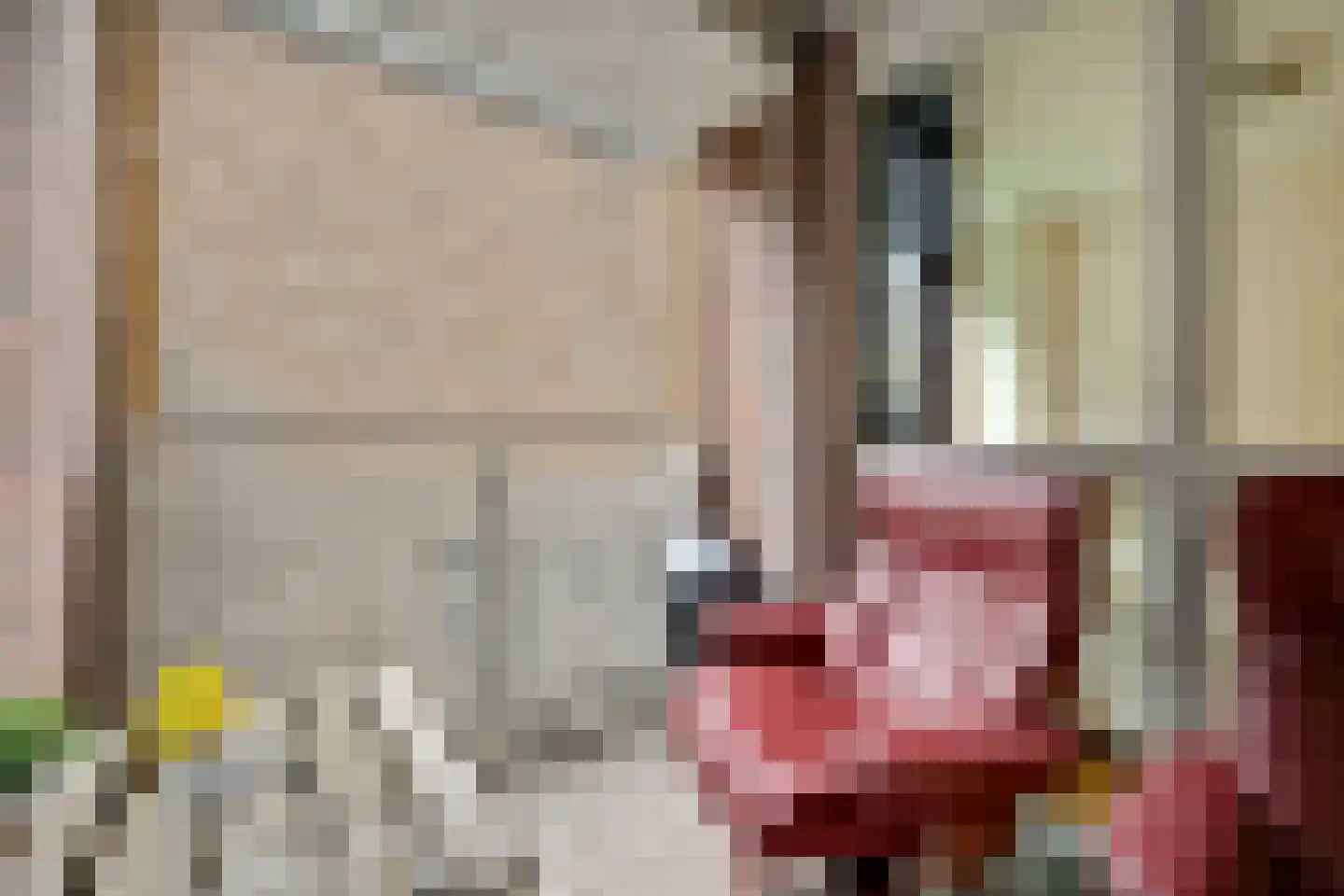 Ziekerstraat 10 D Nijmegen thumbnail 18
