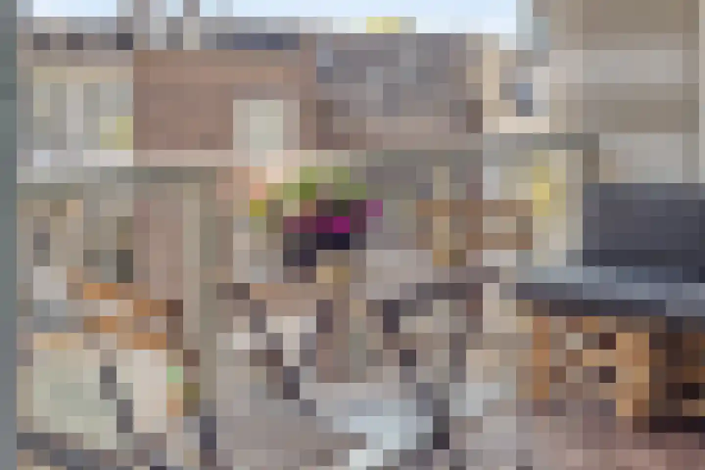 Ziekerstraat 10 Nijmegen thumbnail 15