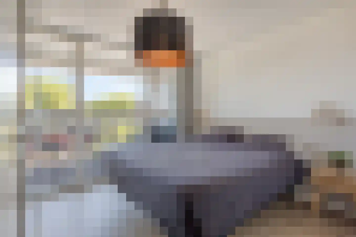 Ziekerstraat 10 Nijmegen thumbnail 18