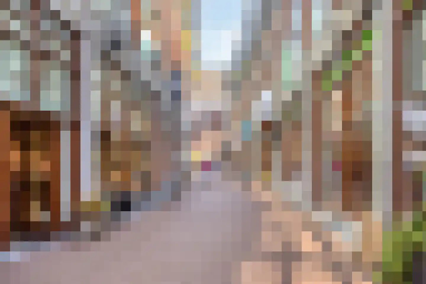 Ziekerstraat 10 Nijmegen thumbnail 25