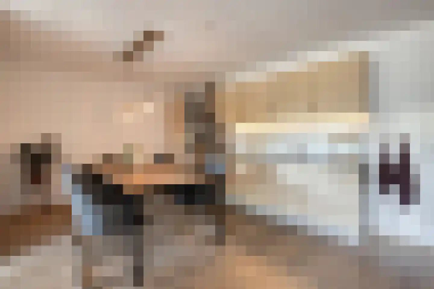 Ziekerstraat 10 Nijmegen thumbnail 4