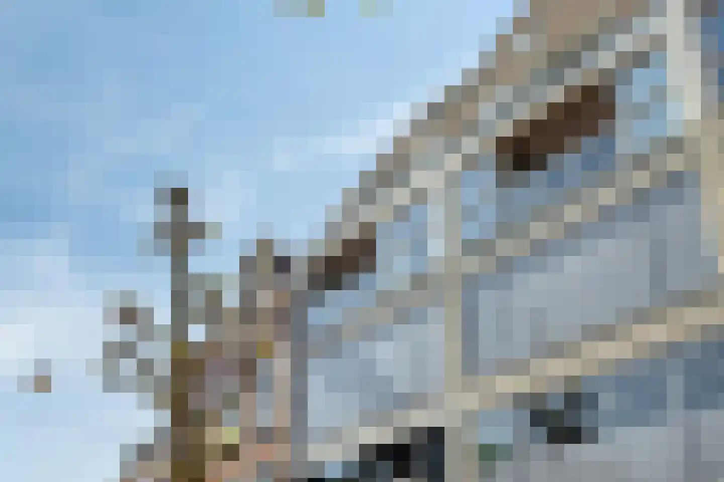 Ziekerstraat 10 Nijmegen thumbnail 5