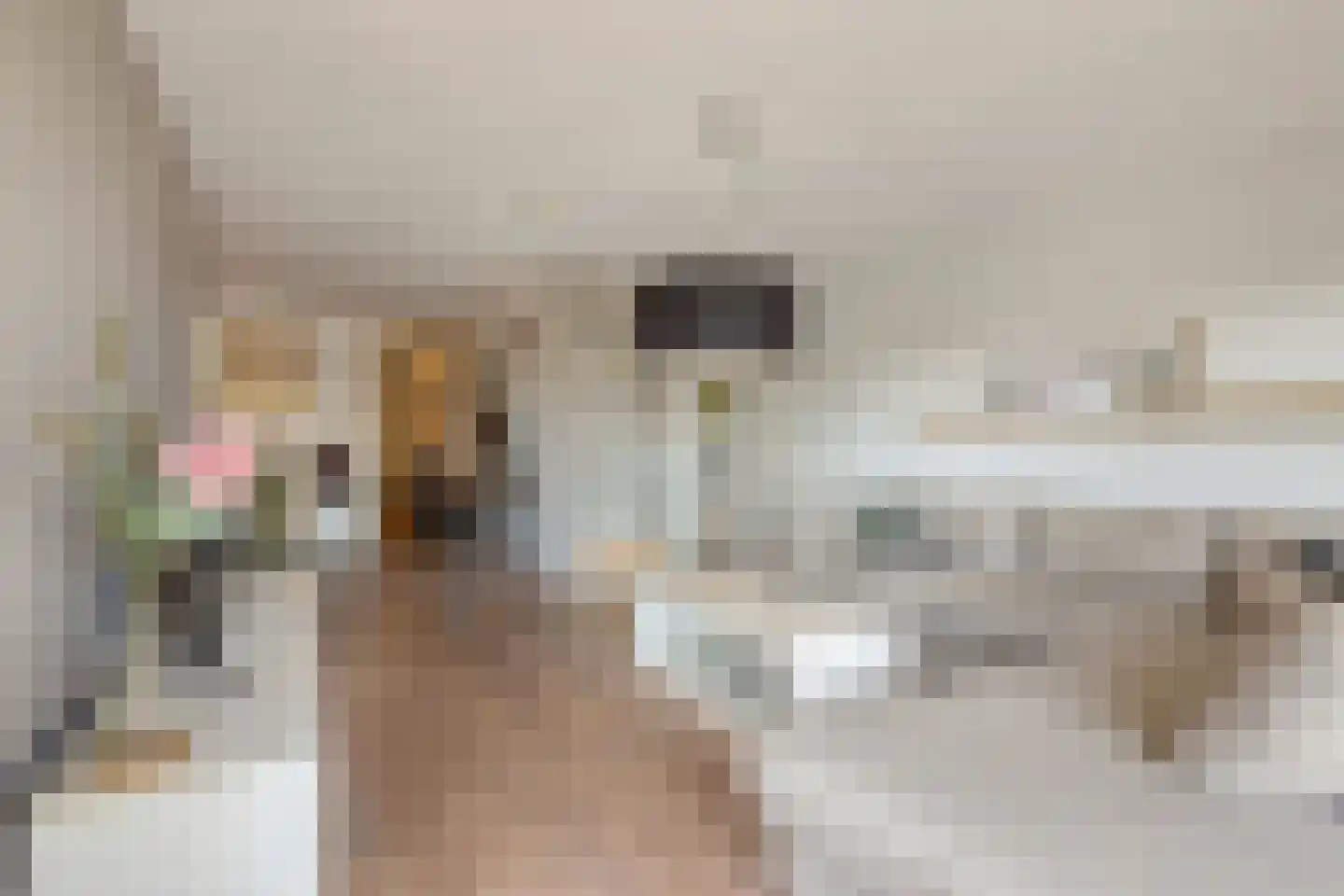 Ziekerstraat 10 Nijmegen thumbnail 7