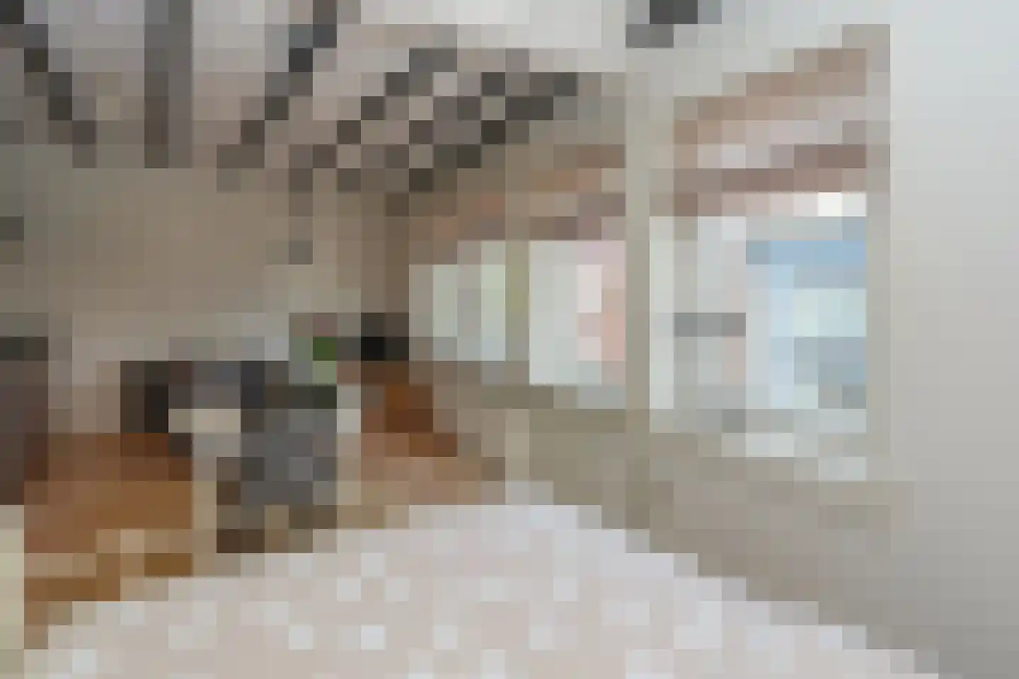Ziekerstraat 120 A Nijmegen thumbnail 18