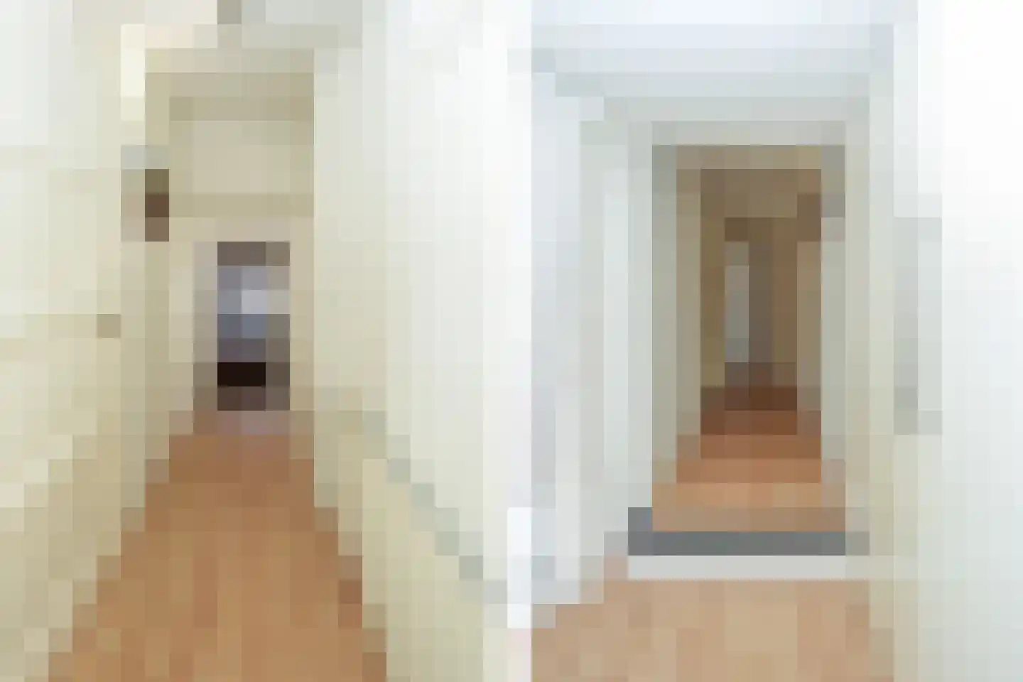 Ziekerstraat 120 B Nijmegen thumbnail 15