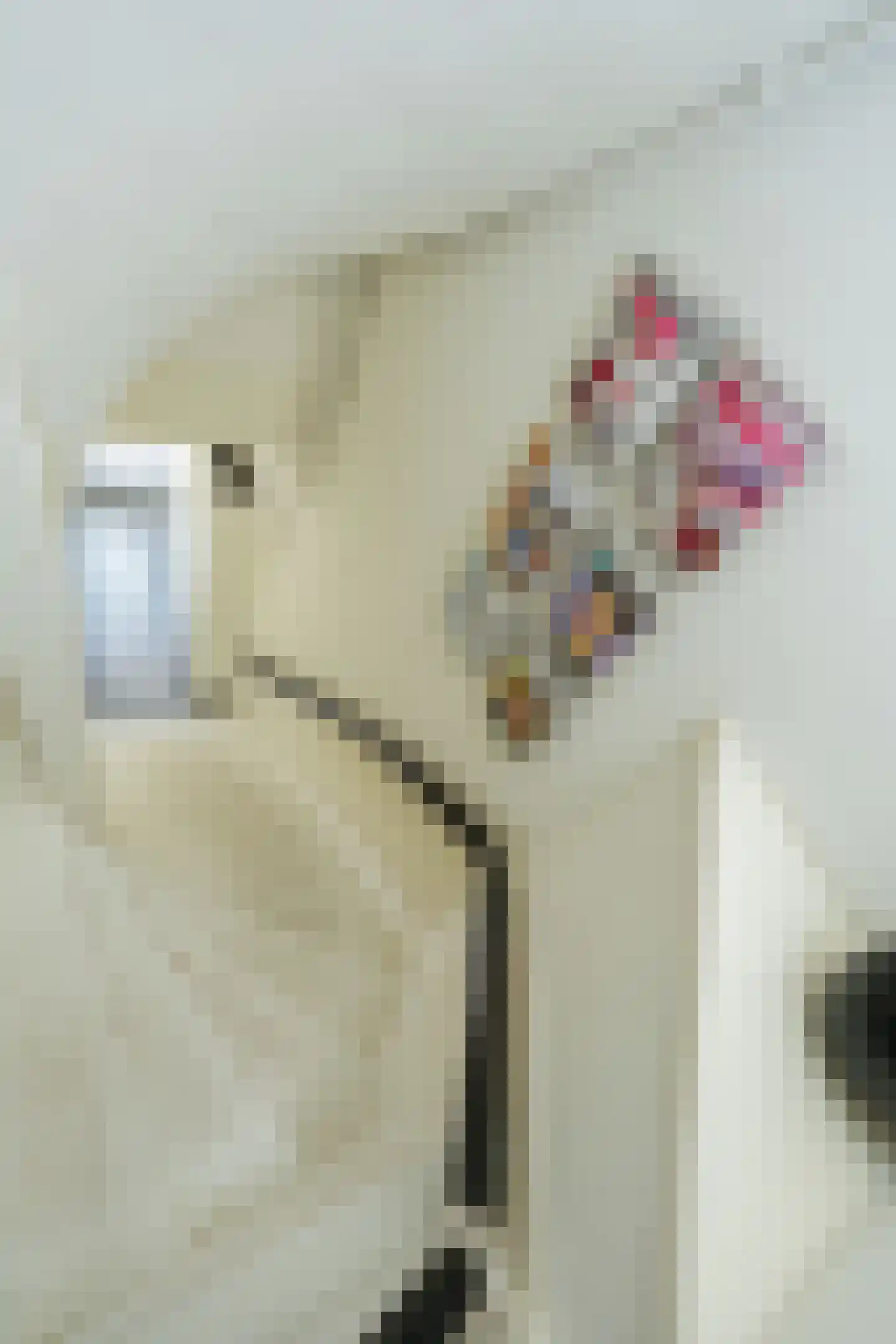 Ziekerstraat 120 B Nijmegen thumbnail 5