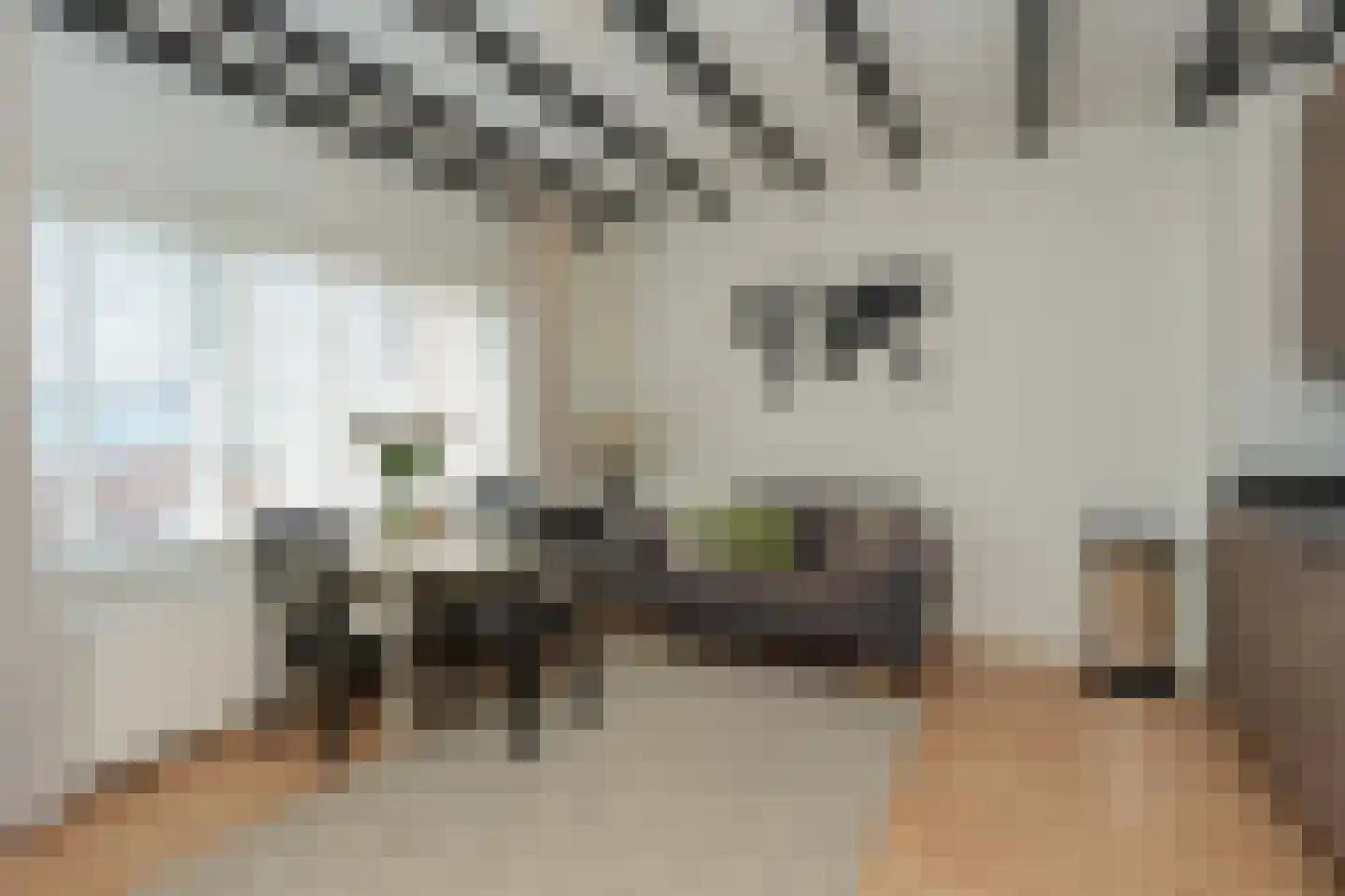Ziekerstraat 120 B Nijmegen thumbnail 7