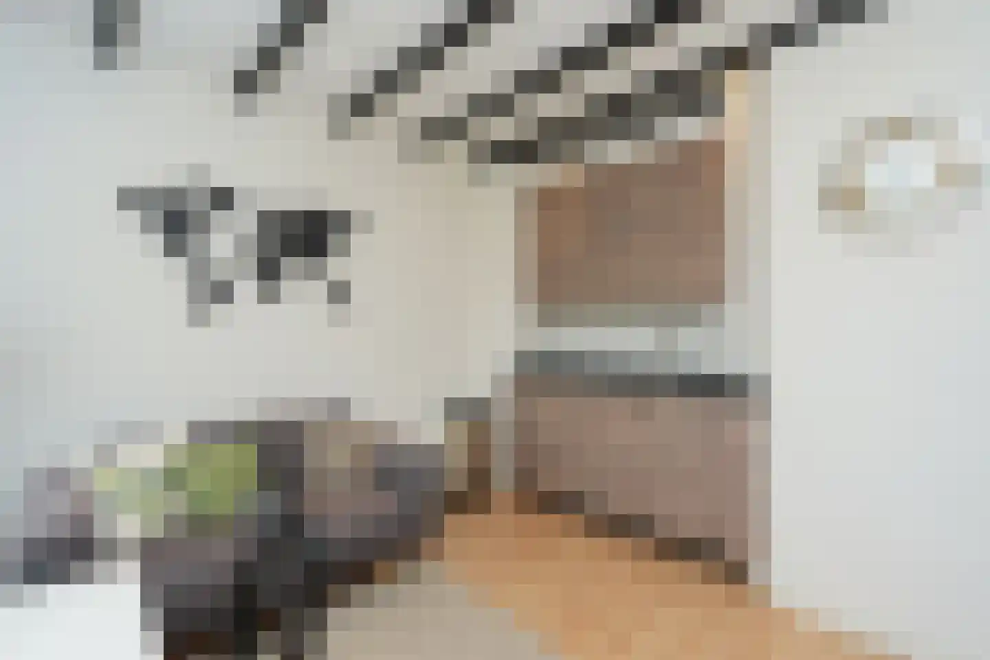 Ziekerstraat 120 B Nijmegen thumbnail 9