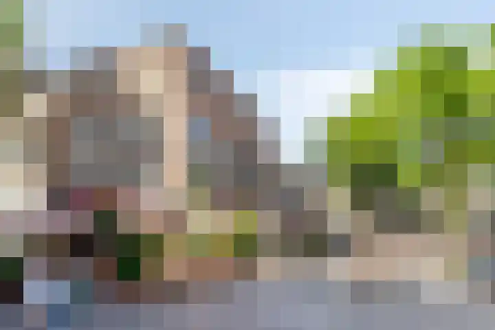 Ziekerstraat 32 Nijmegen thumbnail 20