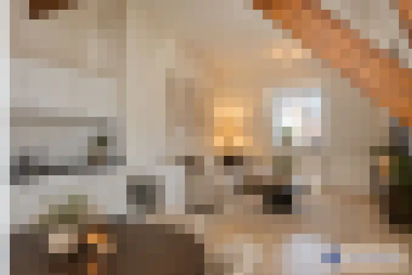 Ziekerstraat 36 Nijmegen thumbnail 8
