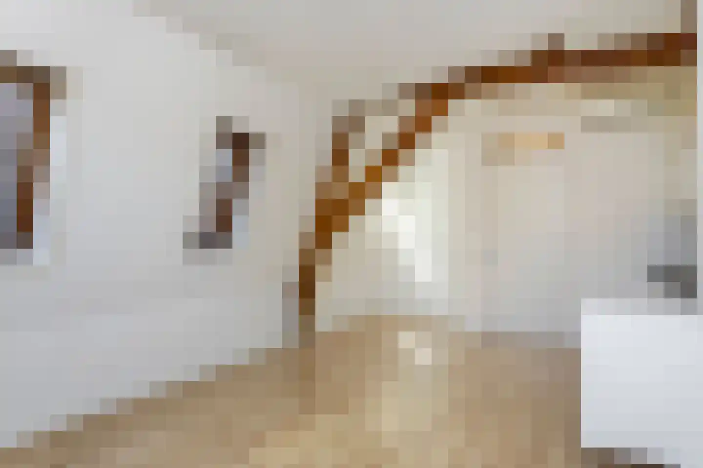Ziekerstraat 36 Nijmegen thumbnail 9