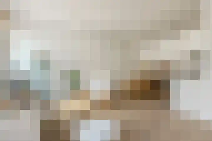 Ziekerstraat 38 Nijmegen thumbnail 4