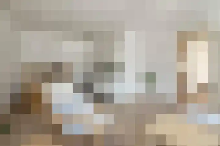 Ziekerstraat 38 Nijmegen thumbnail 5