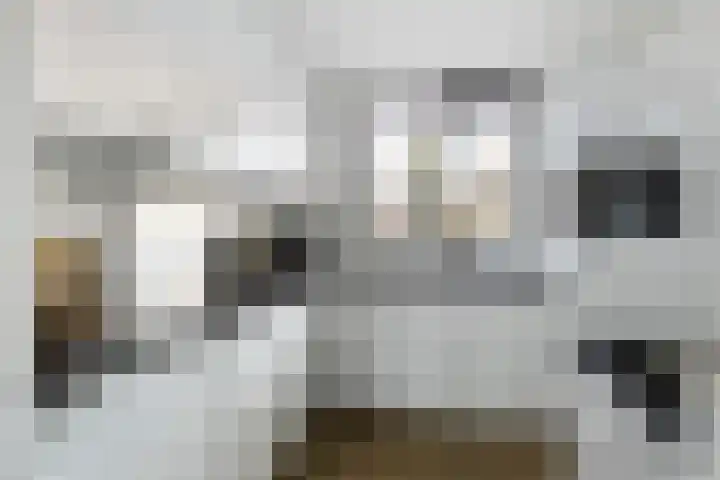 Zielhorsterlaan 12 Amersfoort thumbnail 10