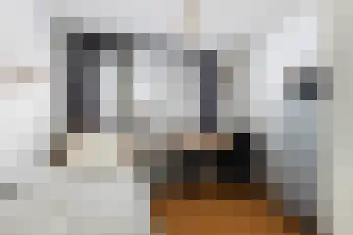Zielhorsterlaan 12 Amersfoort thumbnail 20
