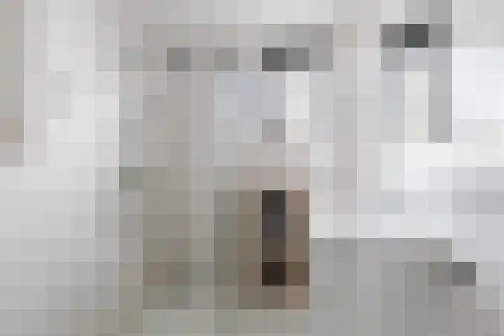 Zielhorsterlaan 12 Amersfoort thumbnail 22