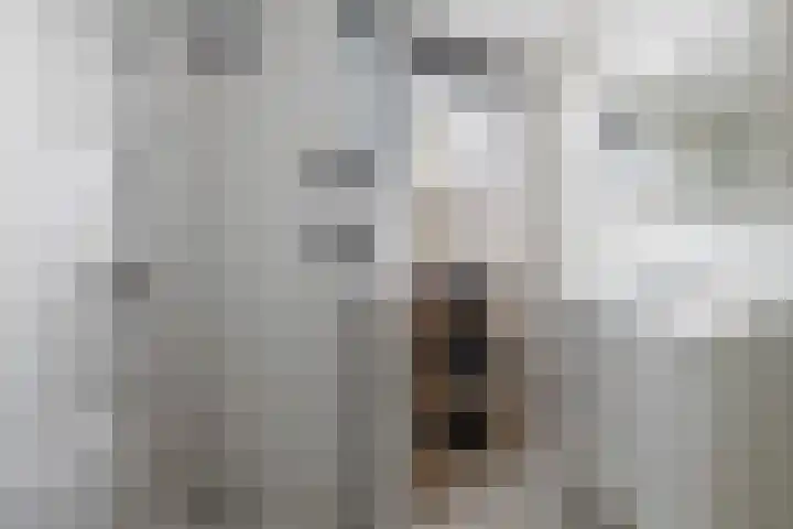 Zielhorsterlaan 12 Amersfoort thumbnail 24