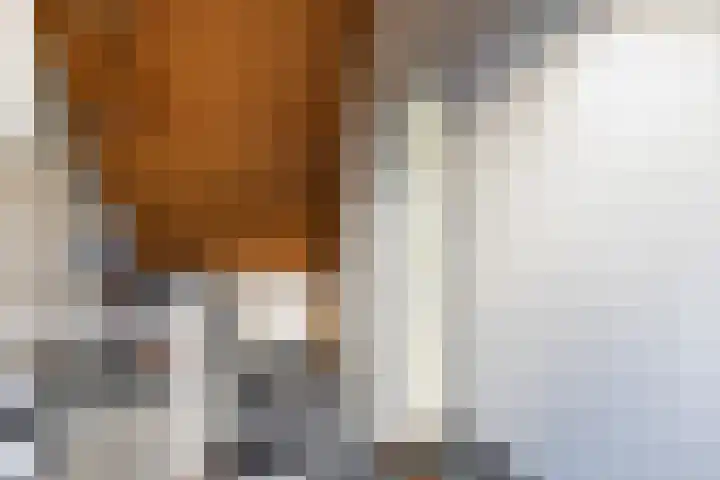Zielhorsterlaan 12 Amersfoort thumbnail 25