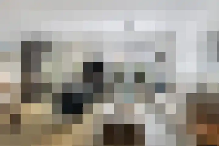 Zielhorsterlaan 12 Amersfoort thumbnail 7