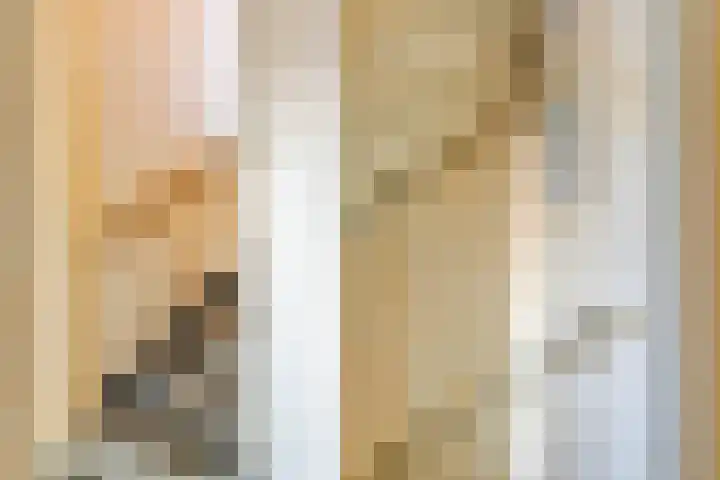 Zieneschstraat 36 Haaksbergen thumbnail 27