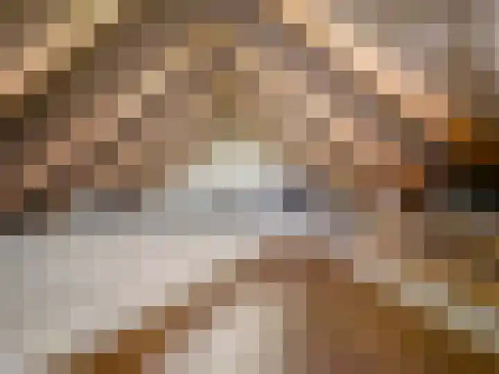 Ziepseweg 71 Didam thumbnail 12