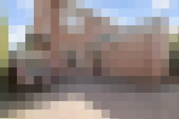 Ziepseweg 71 Didam thumbnail 14