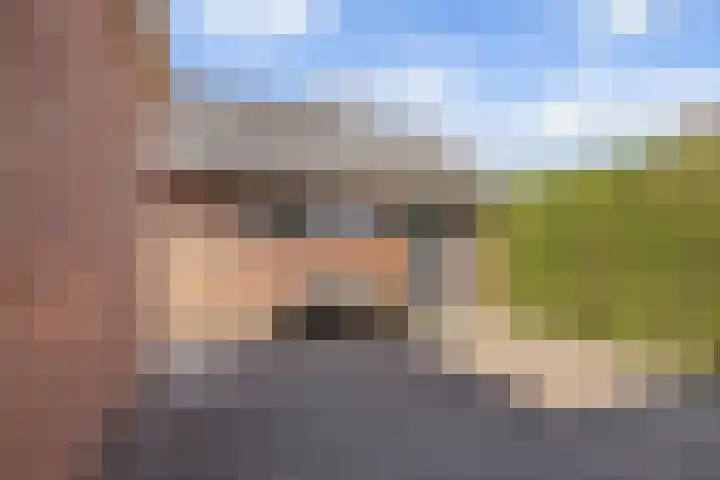 Ziepseweg 71 Didam thumbnail 16
