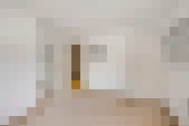Ziepseweg 71 Didam thumbnail 24