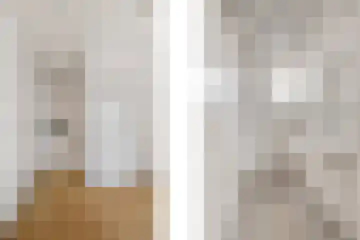 Ziepseweg 71 Didam thumbnail 27