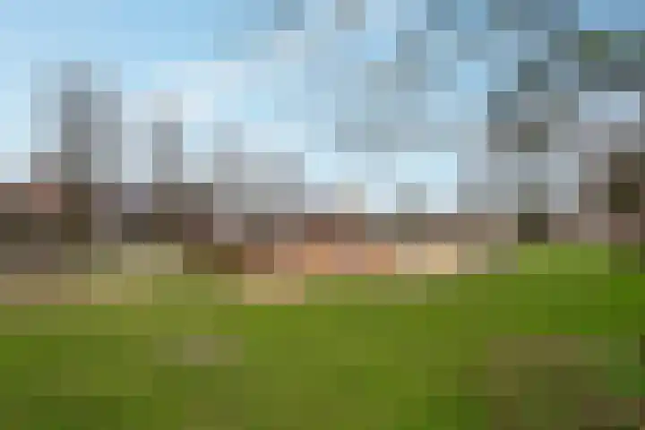 Ziepseweg 71 Didam thumbnail 4