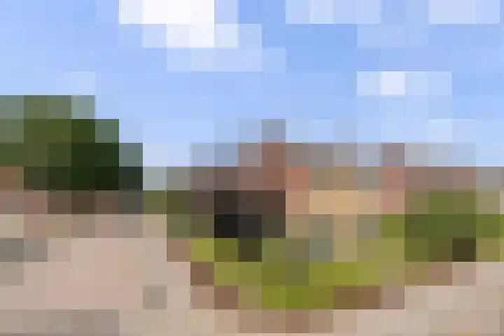 Ziepseweg 71 Didam thumbnail 43