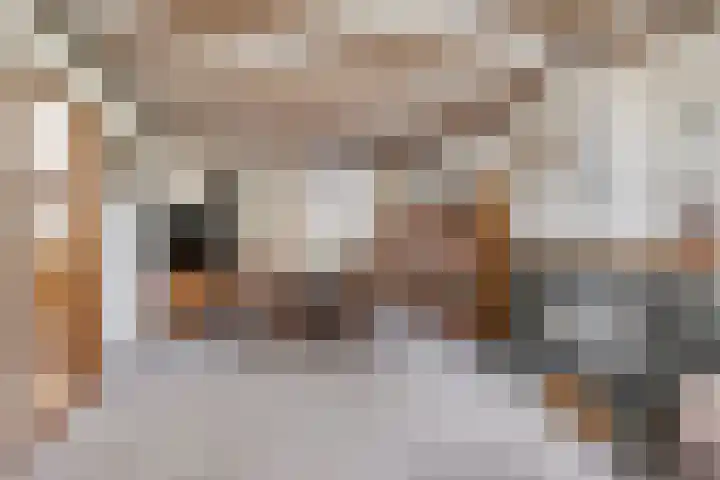 Ziepseweg 71 Didam thumbnail 5