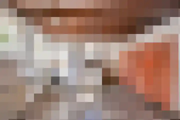 Ziepseweg 71 Didam thumbnail 8