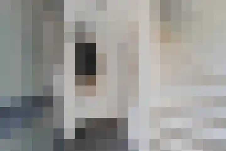 Ziepseweg 74 Didam thumbnail 13