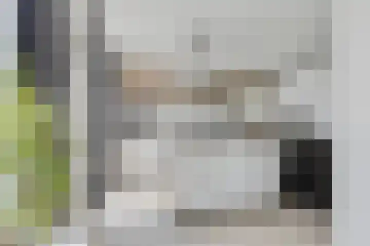 Ziepseweg 74 Didam thumbnail 7