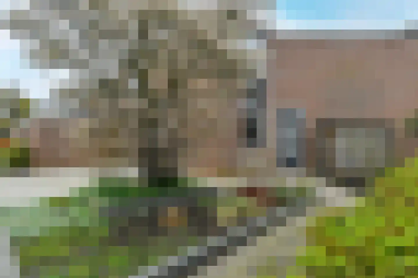 Zierikzeestraat 65 Arnhem thumbnail 34