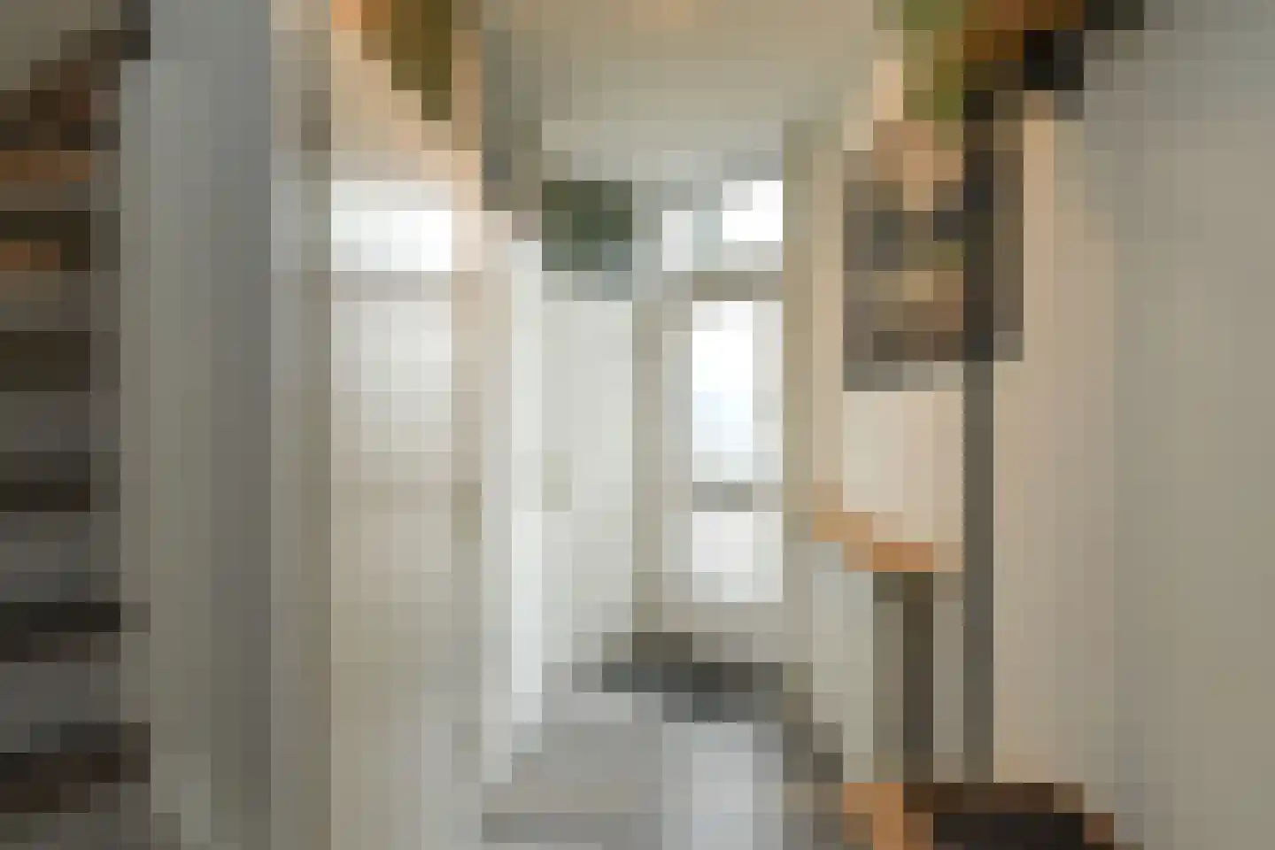 Zierikzeestraat 65 Arnhem thumbnail 7