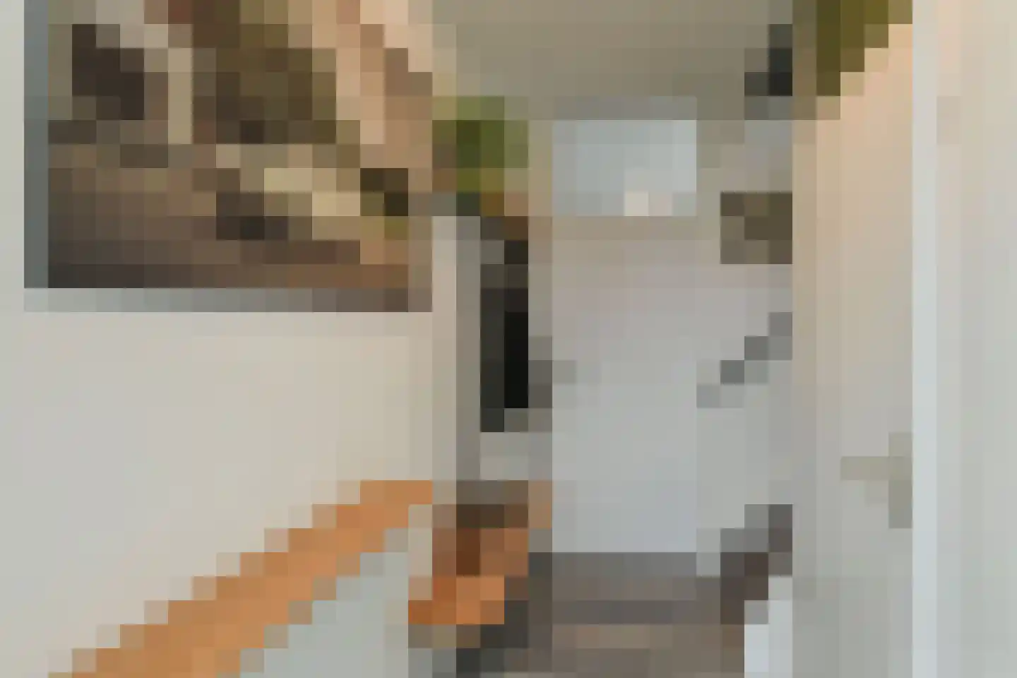 Zierikzeestraat 65 Arnhem thumbnail 8