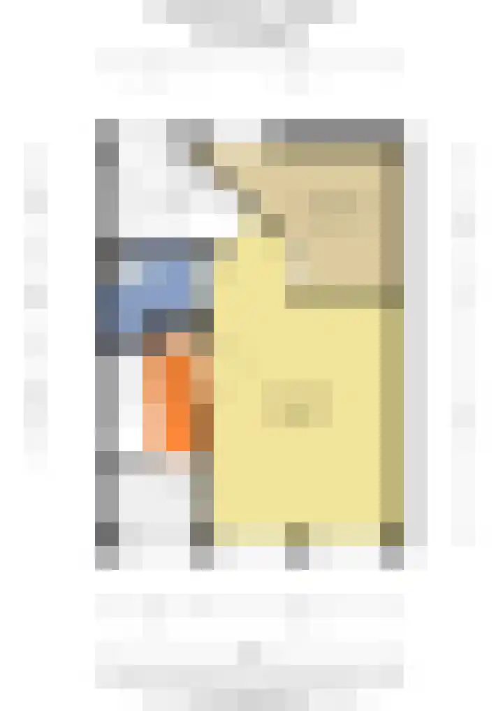 Zieseniskade 13 E Amsterdam thumbnail 19