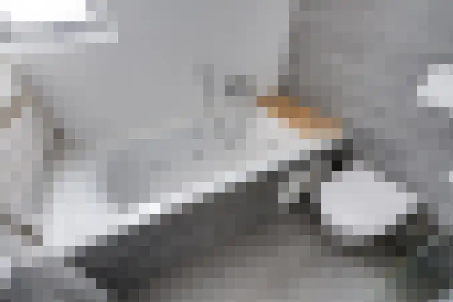 Zieversbeek 11 Tilburg thumbnail 28